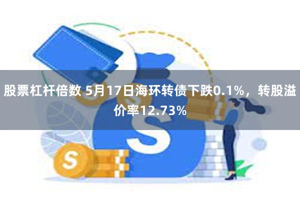 股票杠杆倍数 5月17日海环转债下跌0.1%，转股溢价率12.73%