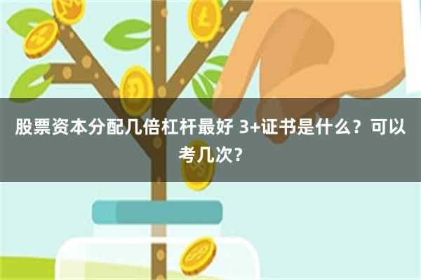 股票资本分配几倍杠杆最好 3+证书是什么？可以考几次？