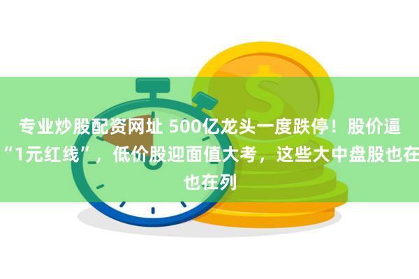 专业炒股配资网址 500亿龙头一度跌停！股价逼近“1元红线”，低价股迎面值大考，这些大中盘股也在列